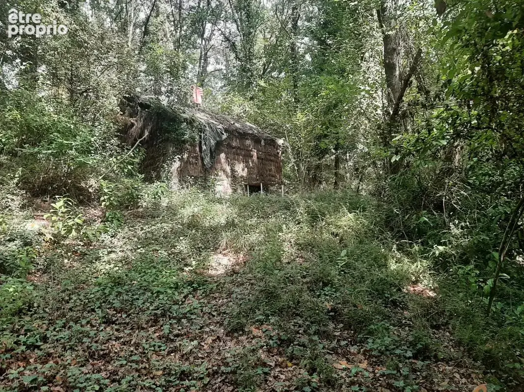 Terrain 5794 m² à Saint-Epain  - photo 5