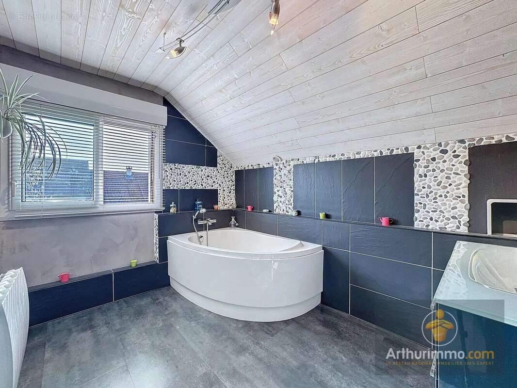 Maison à SAINT-SAVIN