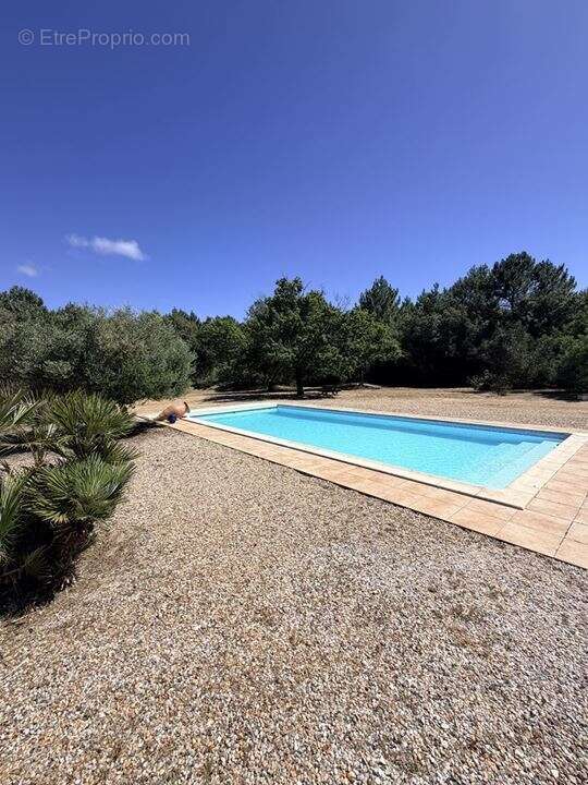 Maison 315 m² à Soulac-Sur-Mer  - photo 5