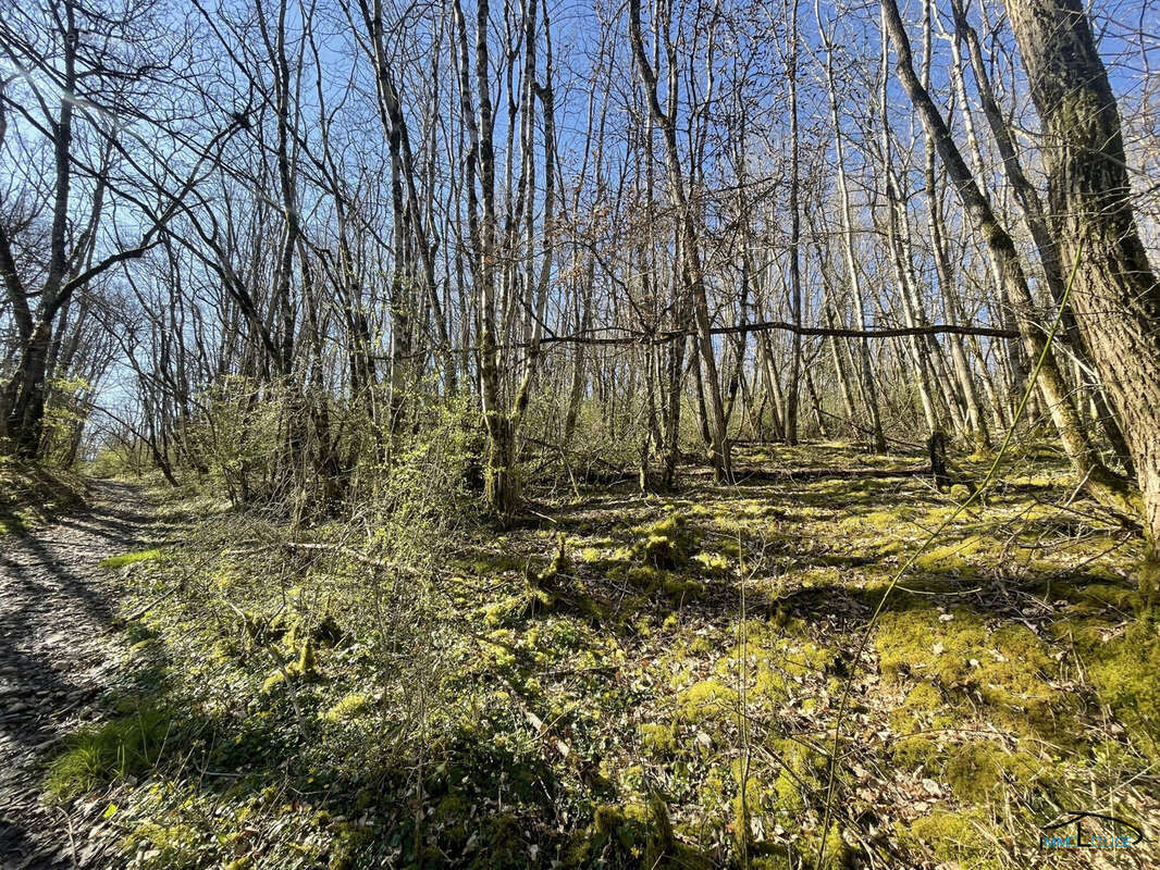 Terrain à VILLEFRANCHE-DE-ROUERGUE