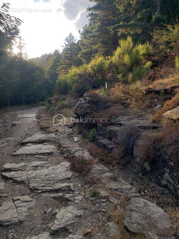 Maison à SAINT-GERMAIN-DE-CALBERTE
