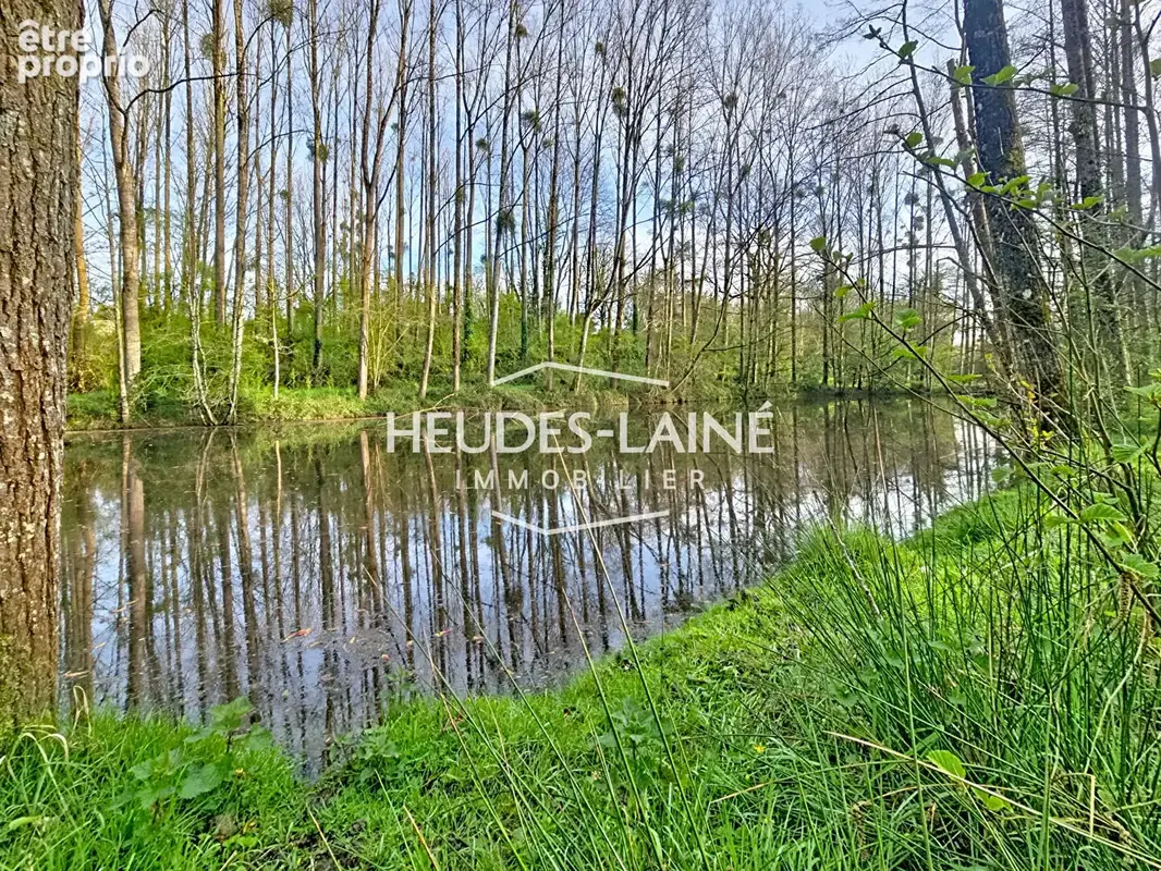 EXCLUSIVITÉ - Terrain avec étang - photo 6