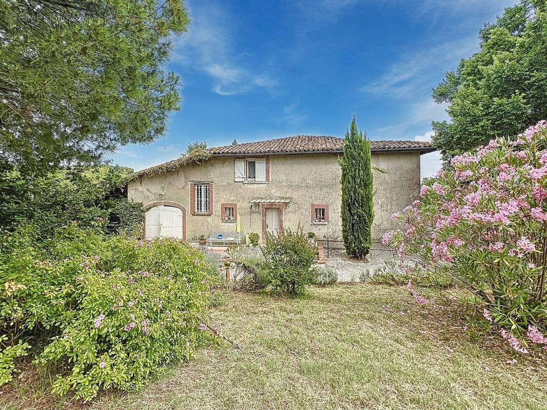 Maison à RABASTENS