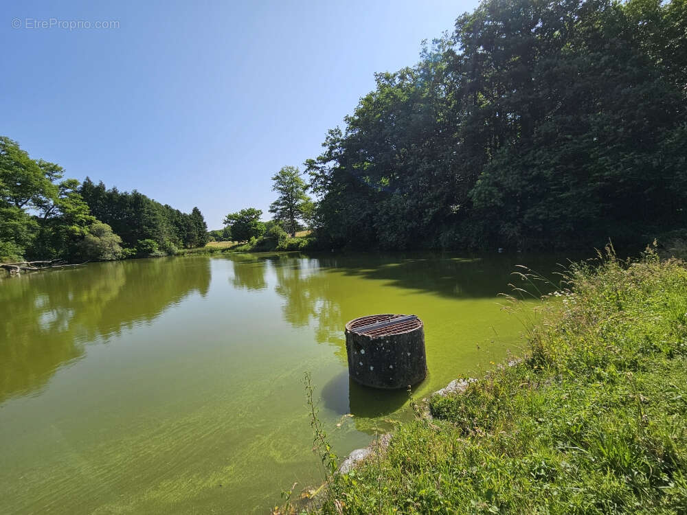 Autre à SAINT-PRIEST-LA-FEUILLE