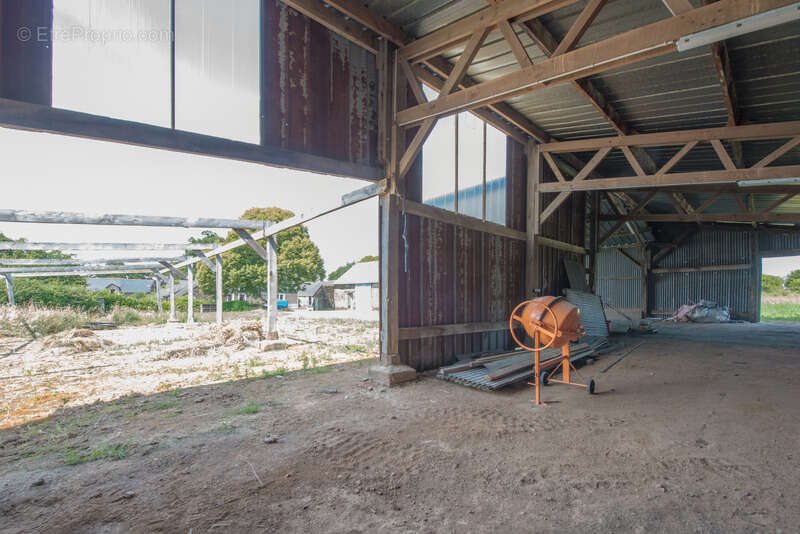 Ensemble en pierre à rénover – 340 m² de potentiel habitable – Hangar 223 m² – Terrain 3 109 m² - photo 15