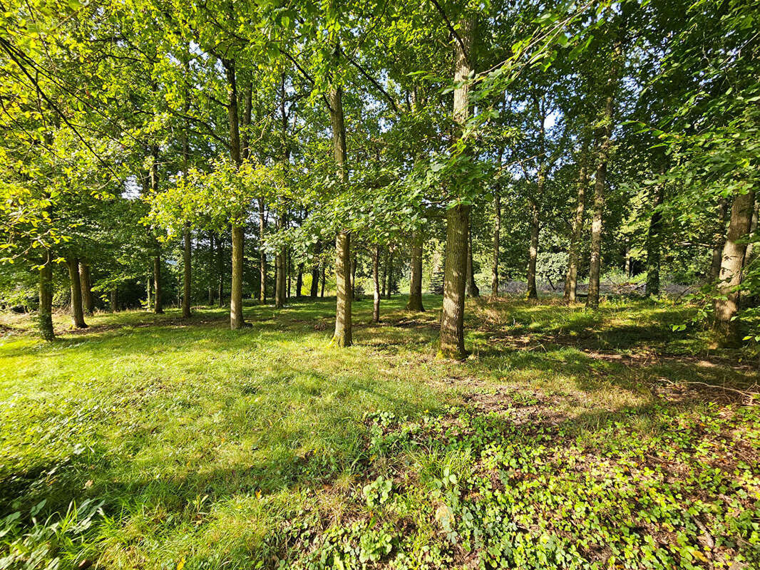Maison à VILLENEUVE-SUR-BELLOT