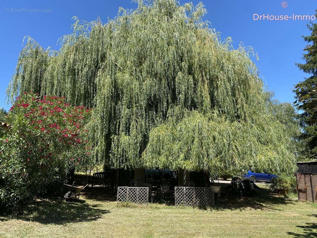 Maison à RIEUX-DE-PELLEPORT