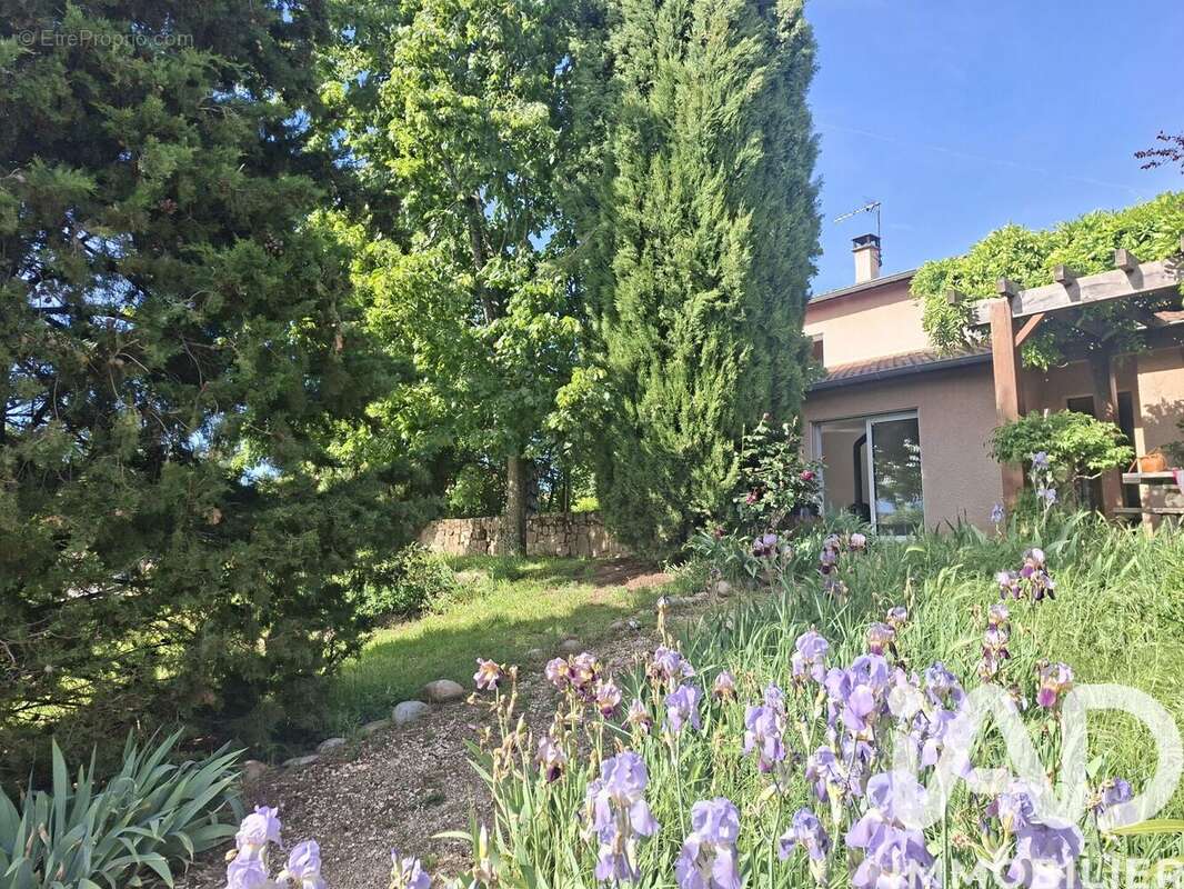 Photo 2 - Maison à DAVEZIEUX