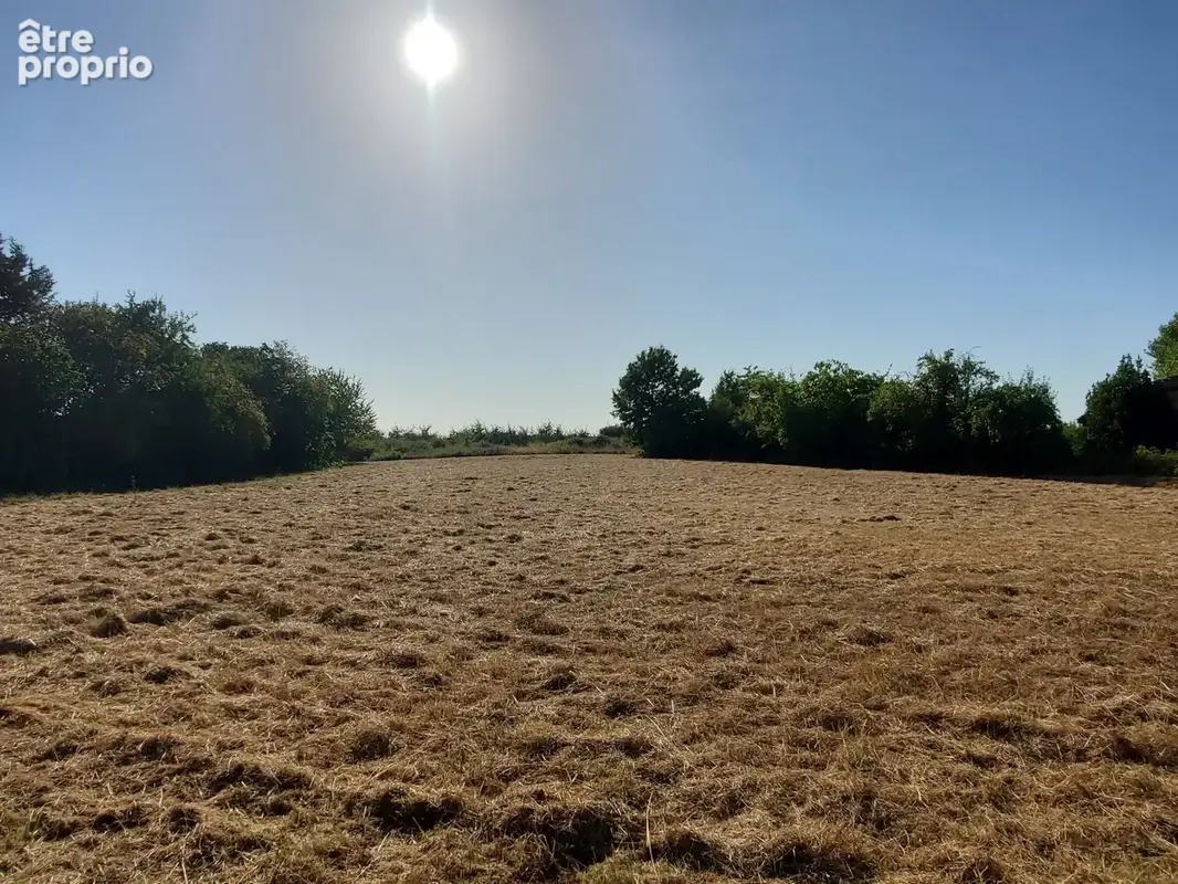 Terrain à bâtir à vendre. · à Seyches · 33 000 €