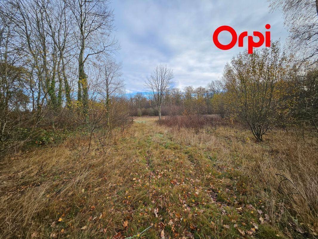 Terrain à BERNAY