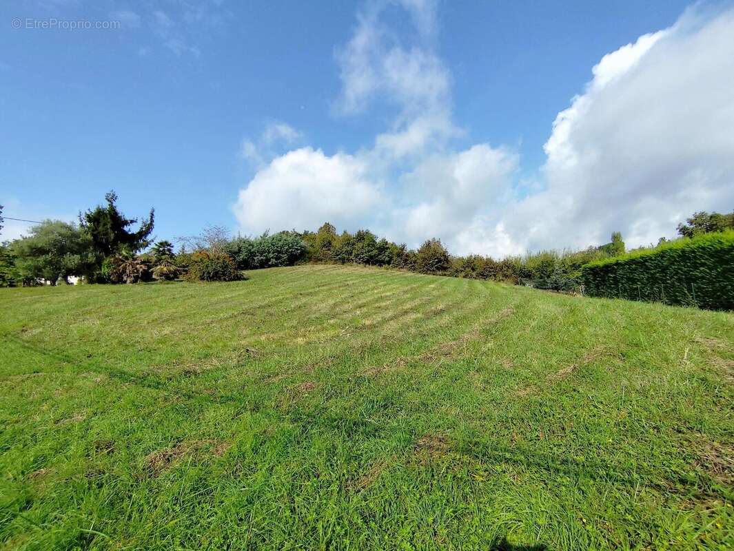 Photo 2 - Terrain à MOISSAC