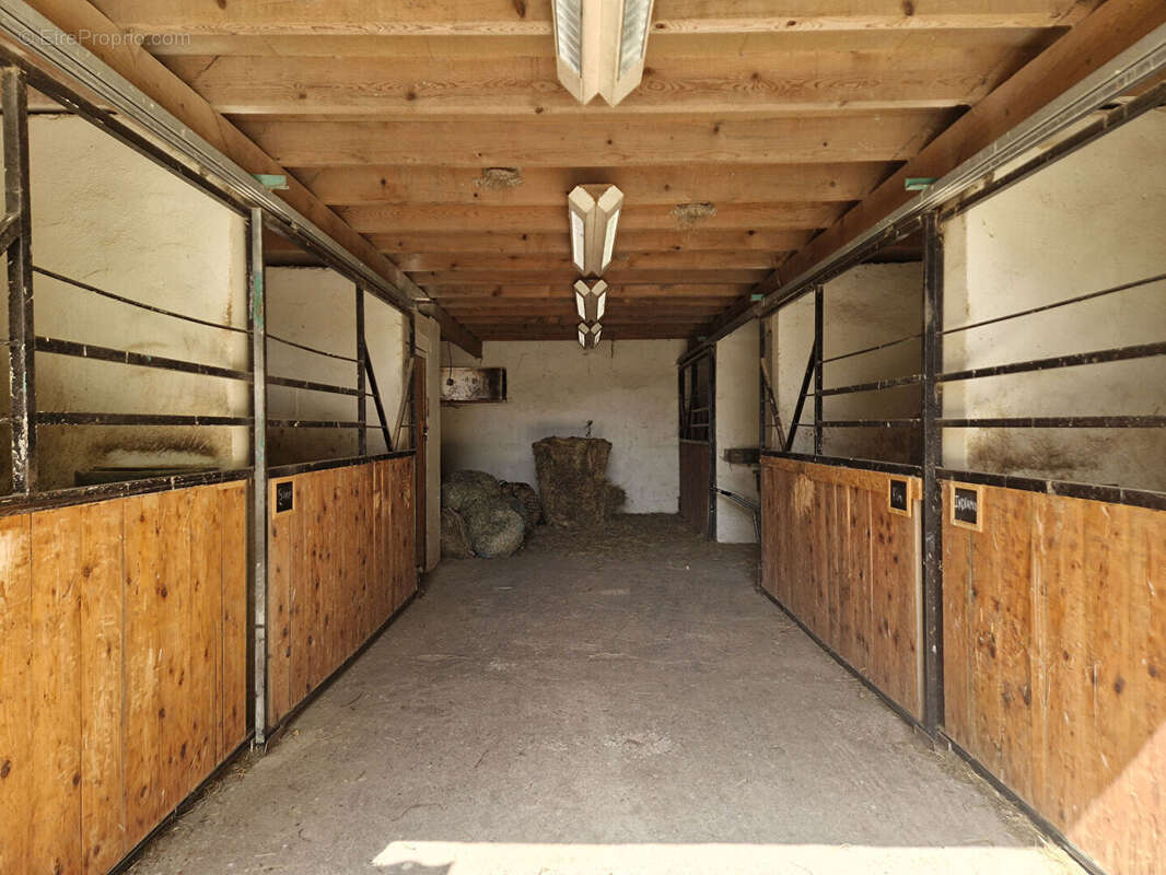 Centre équestre avec maison d'habitation, sur 16Ha - photo 7