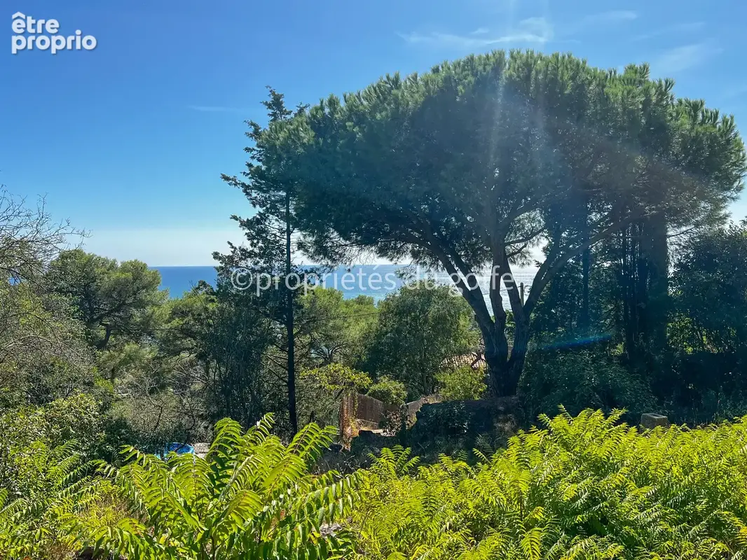 Sète, mont Saint Clair sud, terrain avec vue mer, - photo 8