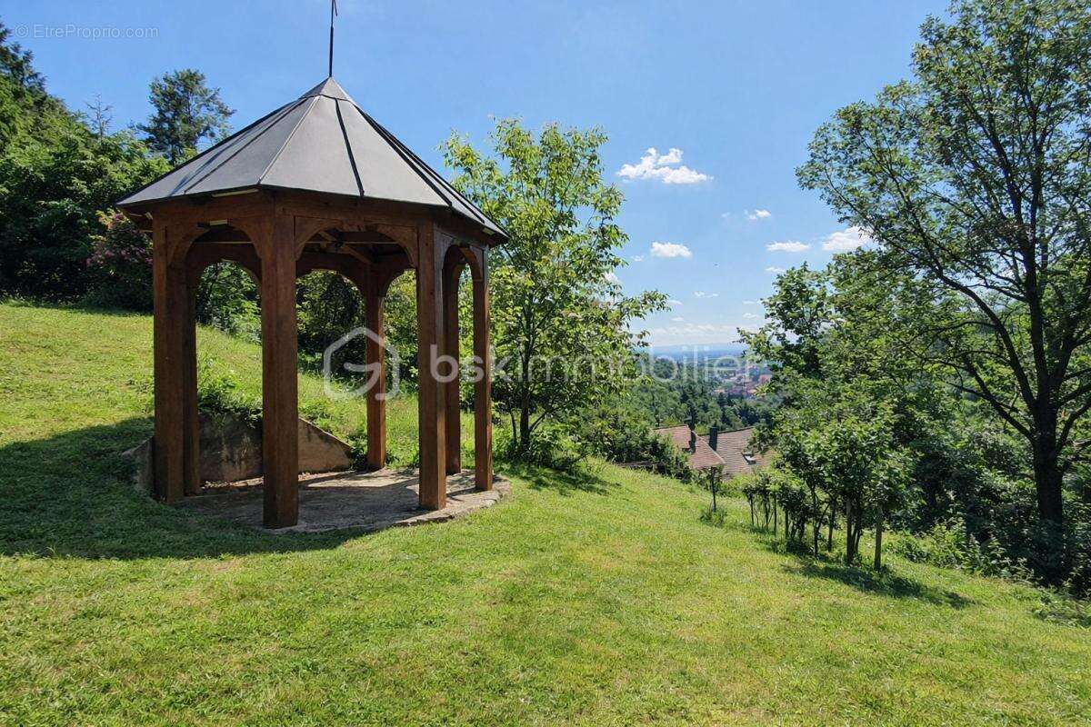Belle propriété à vendre sur la commune d'Andlau - photo 12