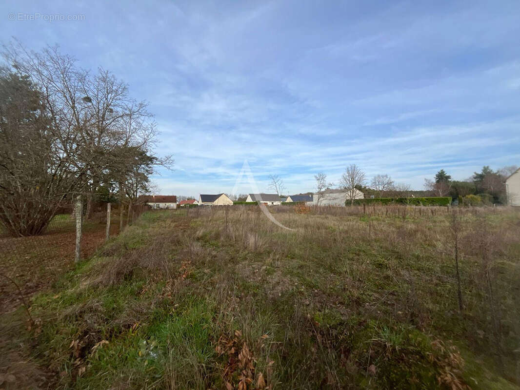 Terrain à LES MONTILS