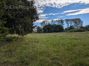 Terrain à ARGELES-SUR-MER