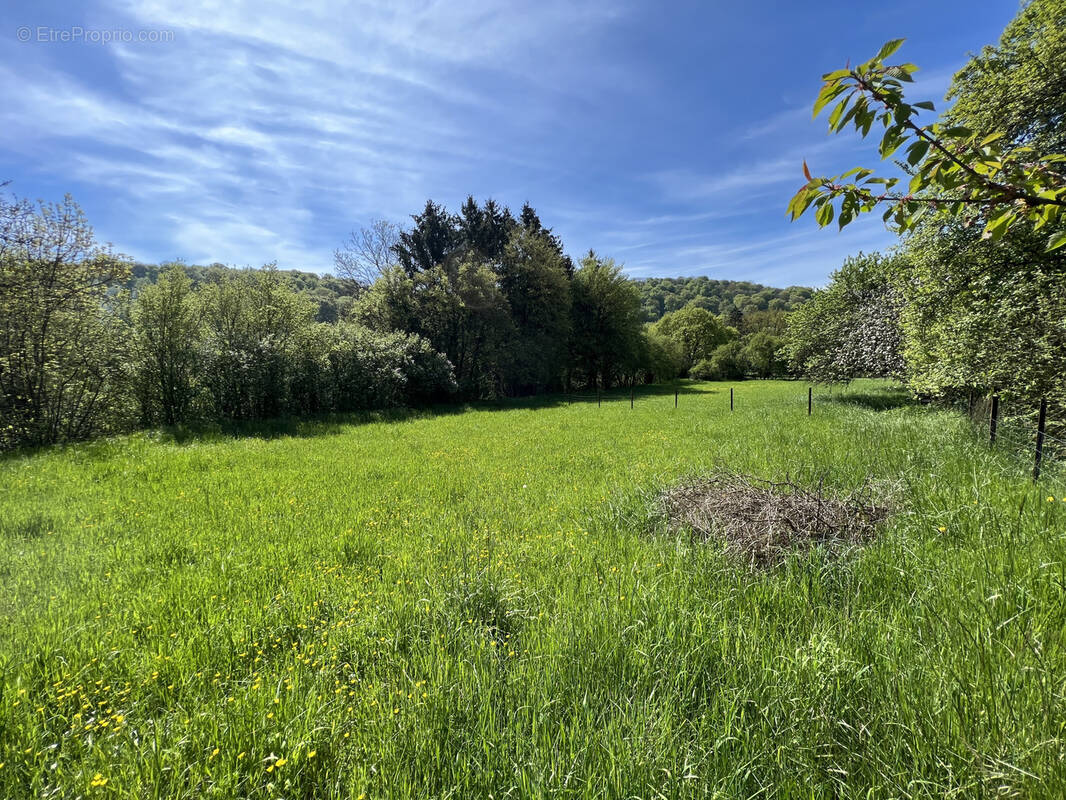 Terrain à VIVIERS-SUR-CHIERS