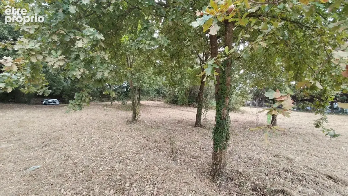 Terrain à vendre de 3 620,00 m² LE HOUGA (32) - photo 6