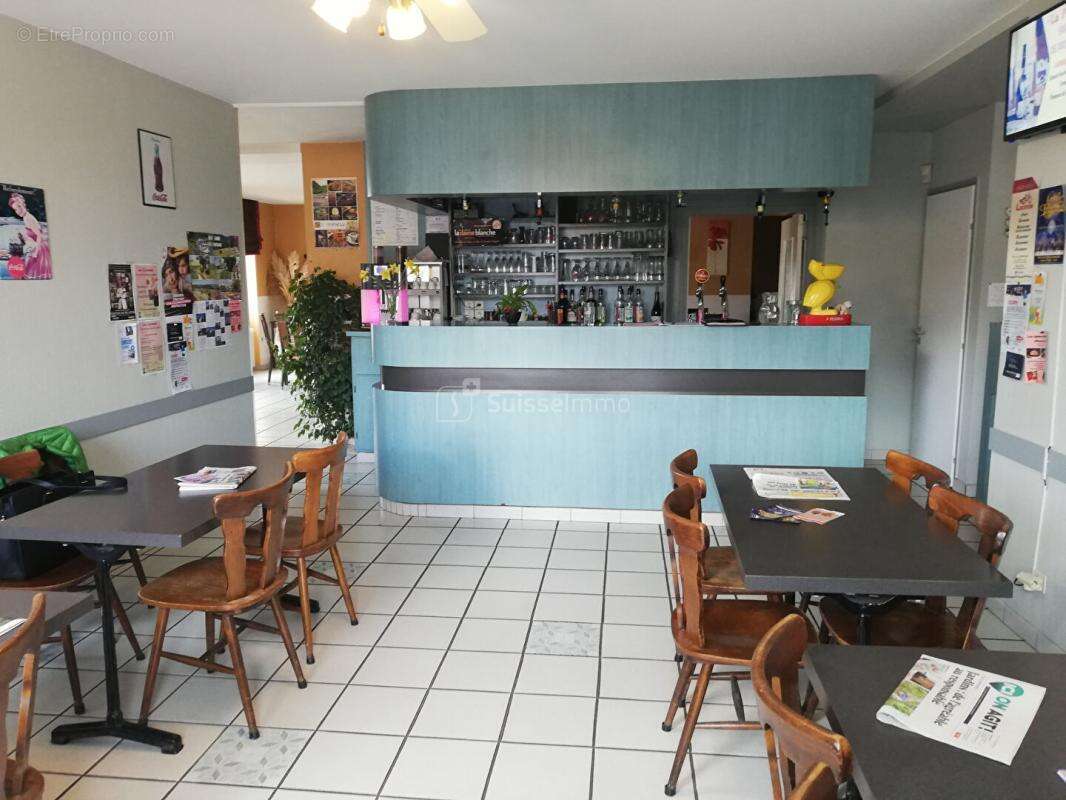 Grande Maison bord de Saône 10 pièce(s) 550 m2  avec terrasse et Parking - photo 3
