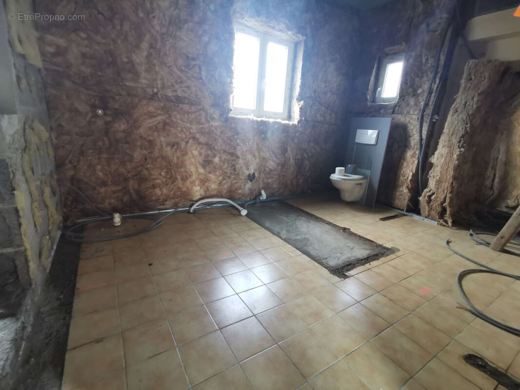 Maison à SAINT-CLEMENT-DE-REGNAT