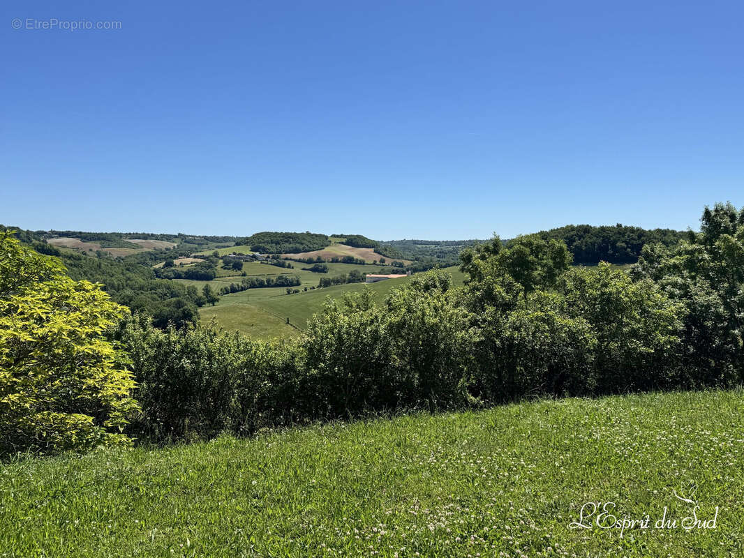 Maison à CORDES-SUR-CIEL