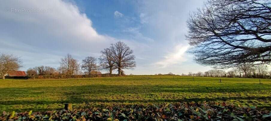 Maison à NOUZERINES