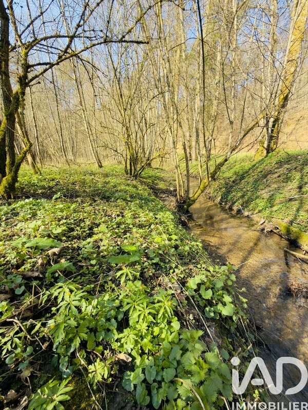 Photo 8 - Terrain à DURSTEL