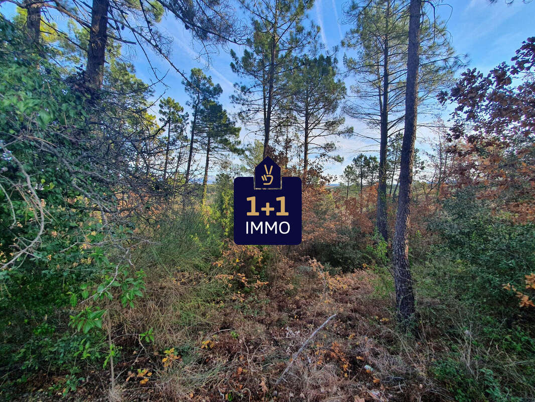 Terrain 1300 m² à Saint-Paul-En-Foret  - photo 6