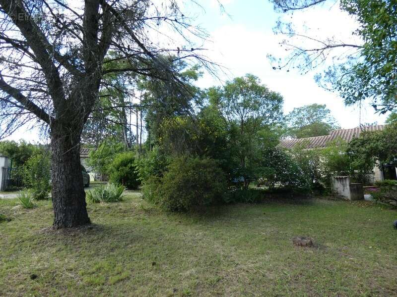 Villa moules et baucels (34) - photo 31