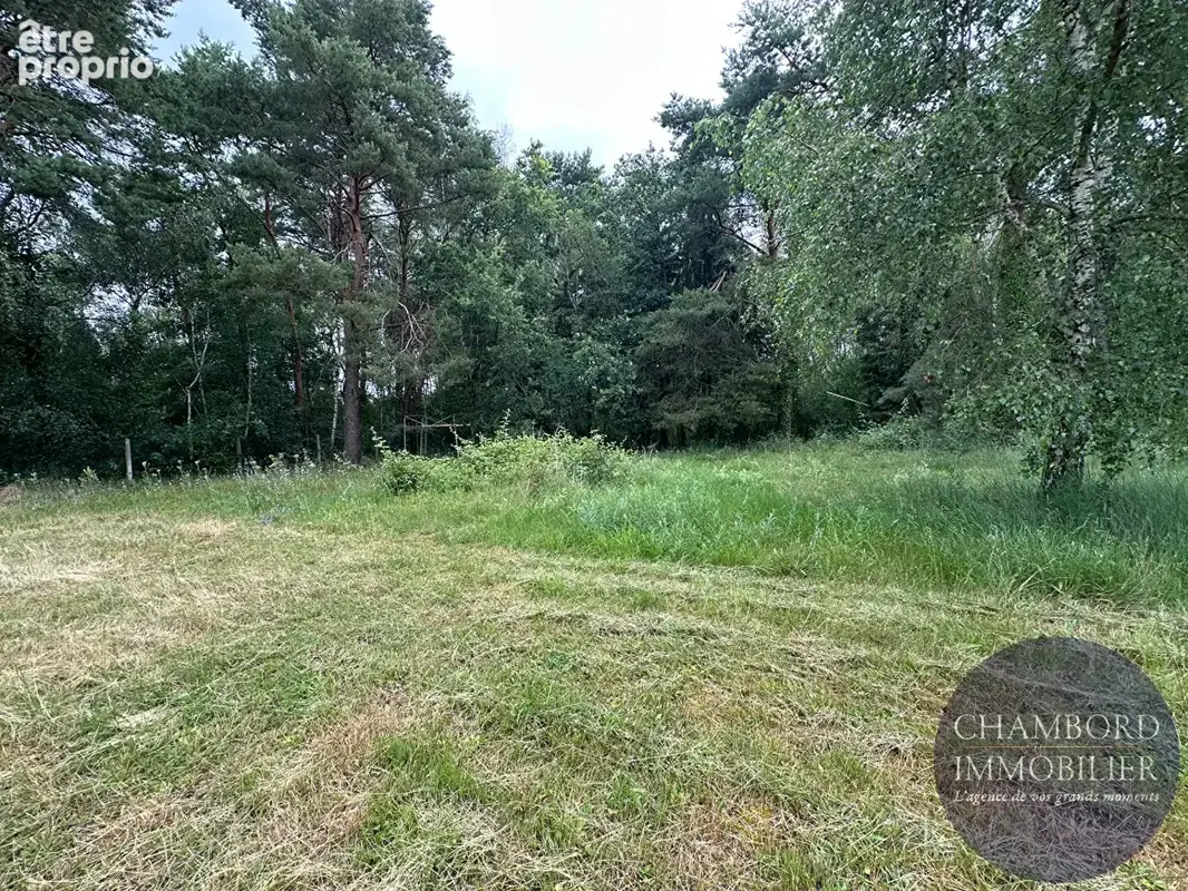 Maison spacieuse à vendre à Les Montils - Exclusivité CHAMBORD IMMOBILIER - photo 16
