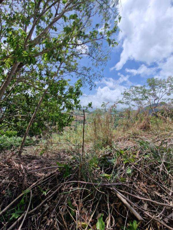 Terrain constructible - photo 7