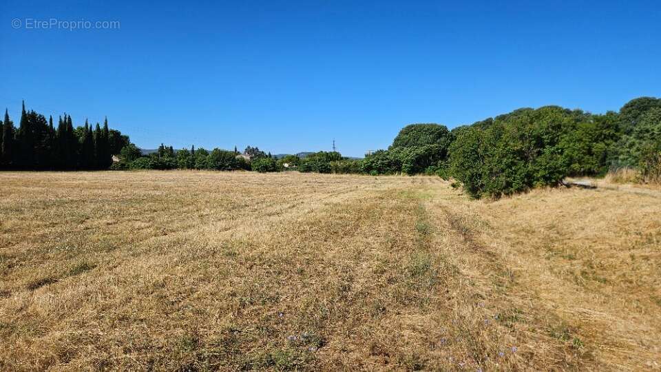 Terrain à PERTUIS