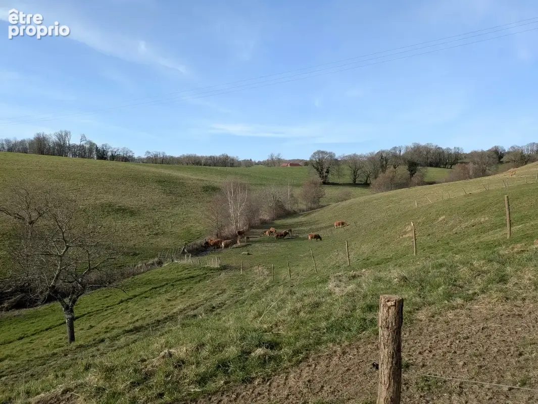 Un joyau rural — ferme, appartement, granges et 1,6 hectare. - photo 17