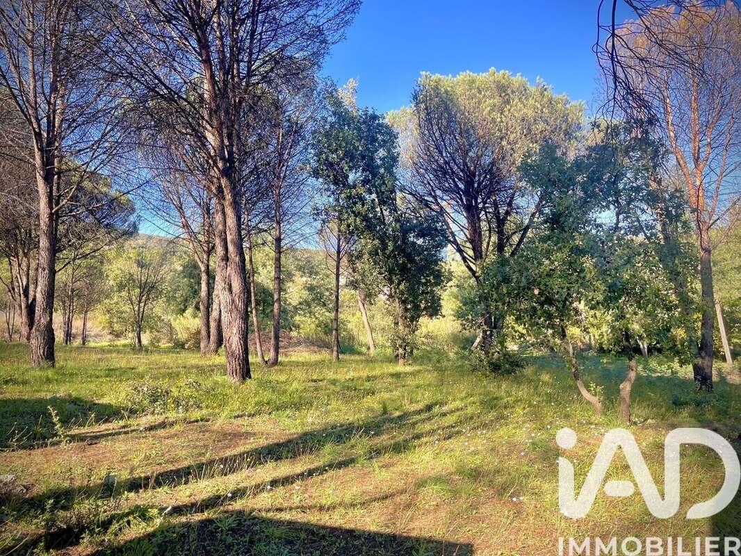 Photo 5 - Terrain à GRIMAUD
