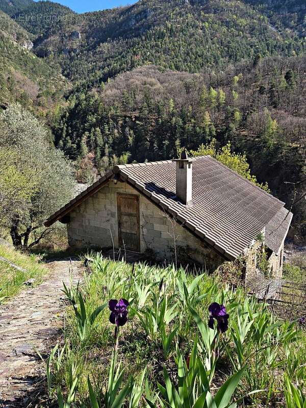 Maison à VALDEBLORE