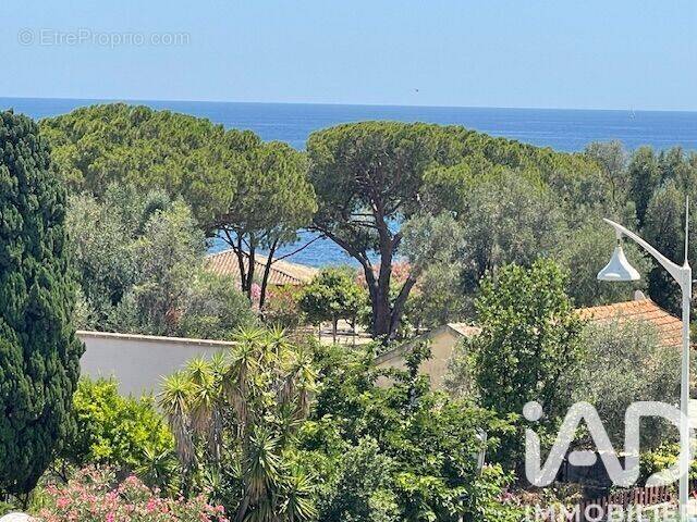 Photo 1 - Appartement à SARI-SOLENZARA