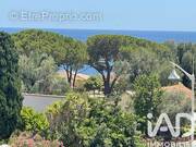 Photo 1 - Appartement à SARI-SOLENZARA