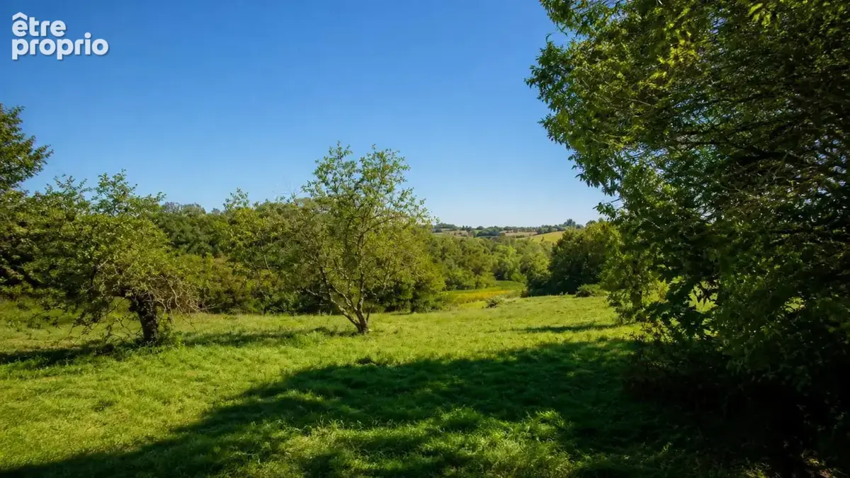 Domaine + 300 m2 dont maison de 10 pièces de 188 m² à Montsoué - photo 53