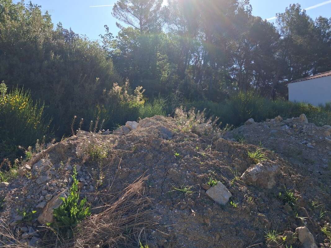Terrain à LA BOUILLADISSE