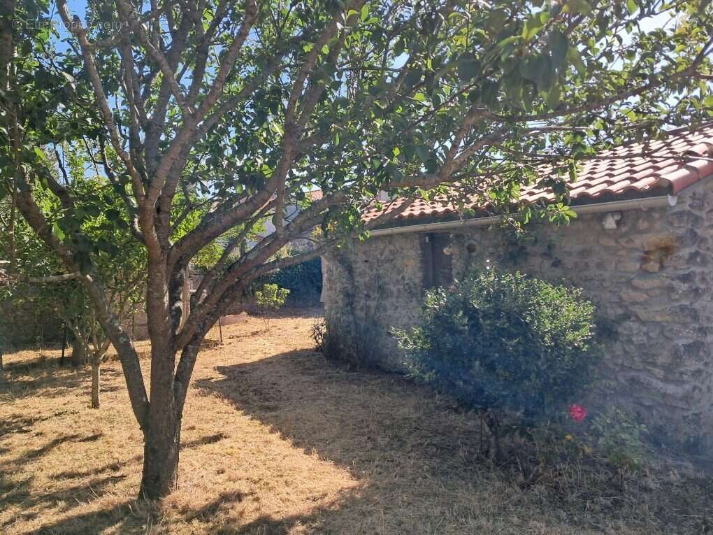 Maison à BOUIN