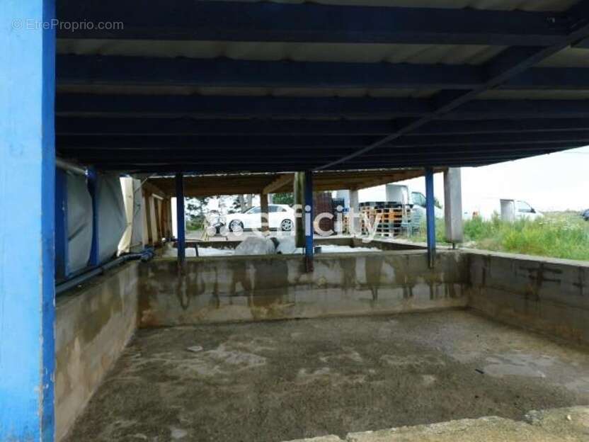 Commerce à DOLUS-D&#039;OLERON