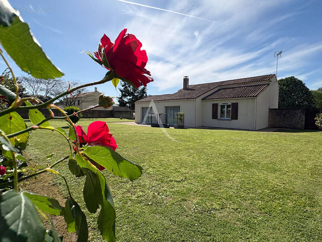 Maison à LE POIRE-SUR-VELLUIRE
