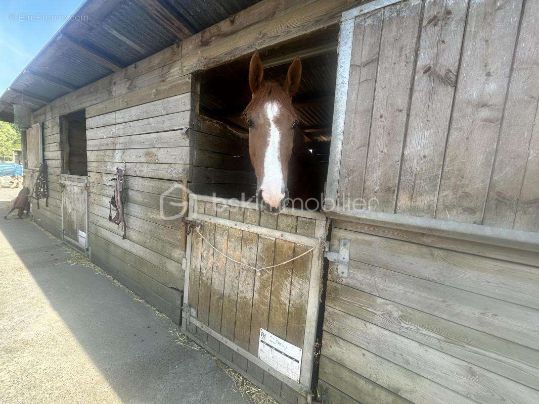 Maison à BOIS-GRENIER