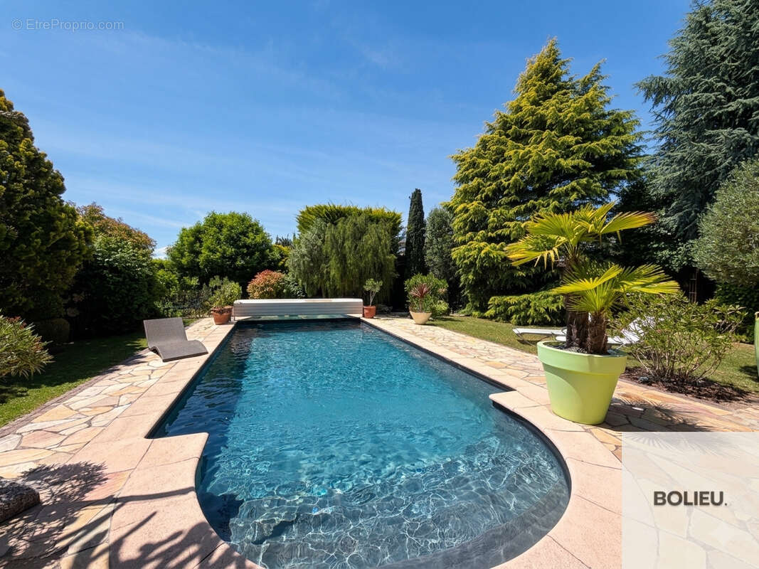 Cranves-Sales - Spacieuse villa avec piscine + Dépendances - photo 20