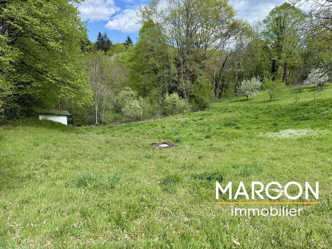 Maison à SAINTE-FEYRE