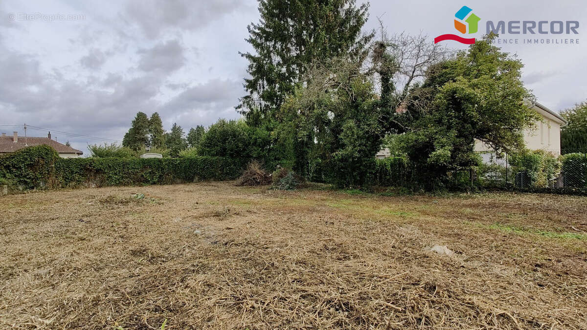 Terrain à KOLBSHEIM