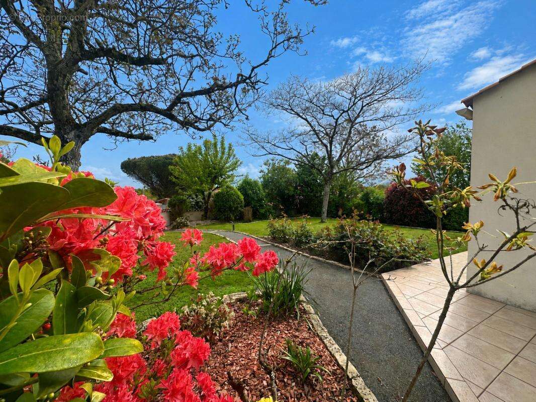 AUBIGNY LES CLOUZEAUX, maison d'architecte 180 m², 5 chambres, 1180 m² terrain clos - photo 9