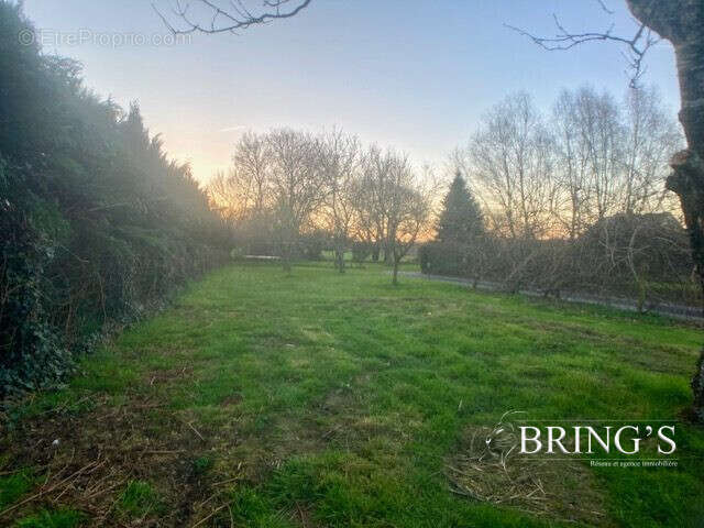 Terrain à LARRE