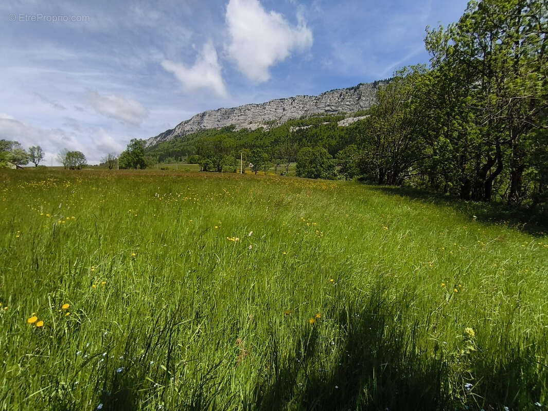 Maison à VILLARD-DE-LANS