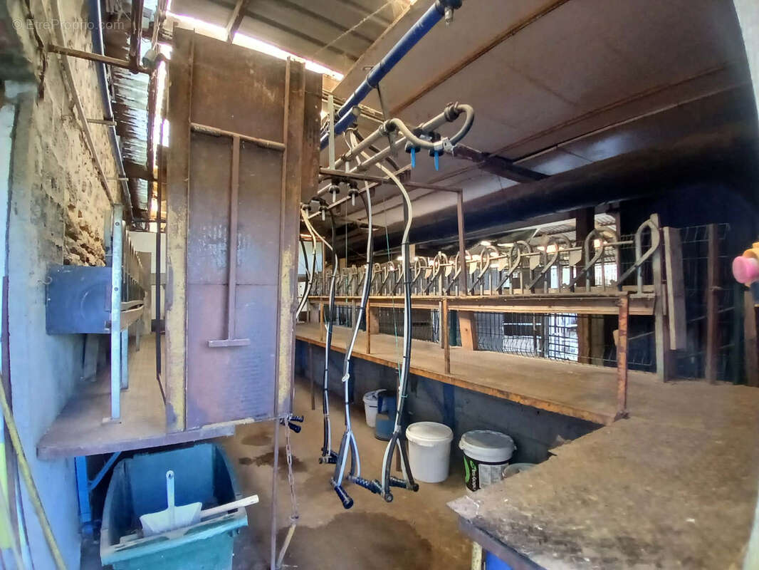 Exploitation caprine avec transformation fromagère, vente directe et maison d'habitation   19,33 ha   Indre - photo 7